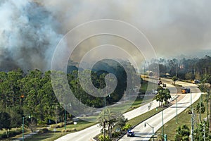 Fire department firetrucks extinguishing wildfire burning severely in Florida jungle woods. Emergency service vehicles