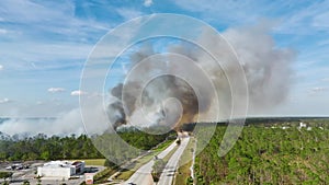 Fire department firetrucks extinguishing wildfire burning severely in Florida jungle woods. Emergency service vehicles