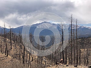 Fire detail and view of Pikes Peak in Colorado