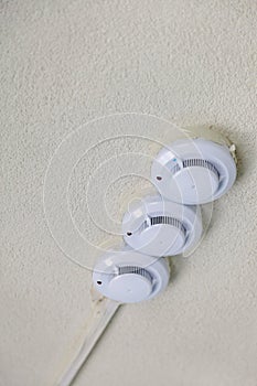Fire detectors on ceiling photo