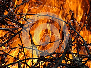 Fire devouring twigs