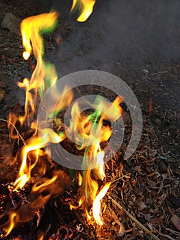 Fire with different colours