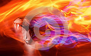 Fire dragon .Fantasy dragon head texture background.