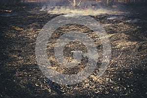 A fire in a dry field in early spring and the smoke left on the burnt out place, the front and back backgrounds are blurred with a