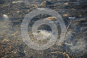 A fire in a dry field in early spring and the smoke left on the burnt out place, the front and back backgrounds are blurred with a