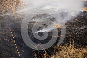 A fire in a dry field in early spring and the smoke left on the burnt out place, the front and back backgrounds are blurred with a