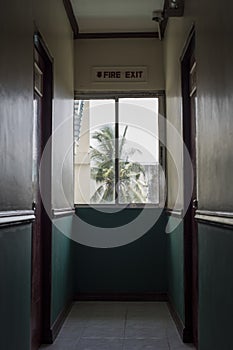 Fire exit in a hotel corridor with a coconut tree outside the window