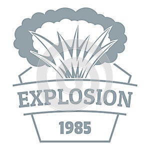 Fire explosion logo, simple gray style