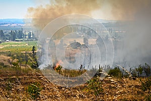 Fire in fast-moving grasslands and stubble.