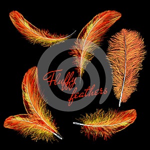Fire feathers fire bird isolated on a black background. Easy style, can be used in flyers, banners, a web. Elements for design.