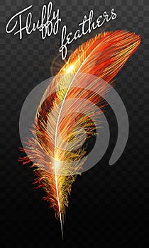 Fire feathers fire bird isolated on a black background. Easy style, can be used in flyers, banners, a web. Elements for design.