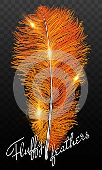 Fire feathers fire bird isolated on a black background. Easy style, can be used in flyers, banners, a web. Elements for design.