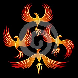 Fire fenix logo elements