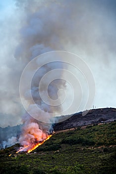 Fire in the field photo