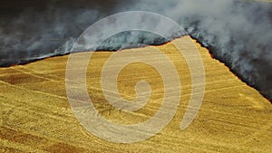 Fire in the field with stubble