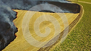 Fire in the field with stubble