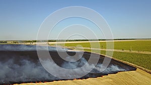 Fire in the field with stubble