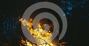 Fire fighter with safety equipment and axe extinguishing fire in forest at night