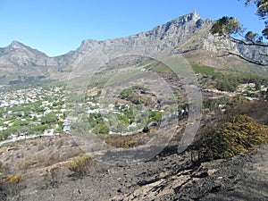 Fire fighters on slopes of Table Mountain Reserve