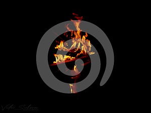 FIRE FLAME