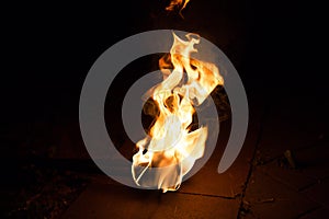 Fire flame background. Flaming torch on dark background