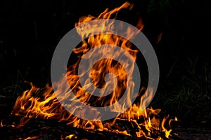 Fire flame bonfire spurts