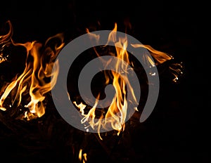 Fire flame caused by burning of wood on a black background