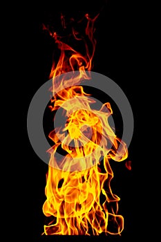 Fire flame isolated on black isolated background - Beautiful yellow, orange and red and red blaze fire flame texture style.