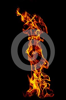 Fire flame isolated on black isolated background - yellow, orange and red and red blaze fire flame texture style