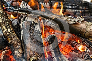 Fire flame. Smouldering coals. Close-up