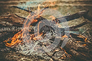 Fire Flame wooden camp burning Outdoor