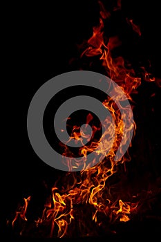 Fire flames on Abstract art black background texture, Burning red hot sparks rise from large fire in, Fiery orange glowing