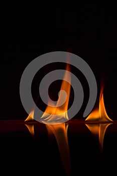 Fire flames on a background