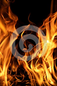 Fire flames on black backdrop. Fire texture. Blazing fire. Flame pattern. Intense burning fire texture for overlay layer effects