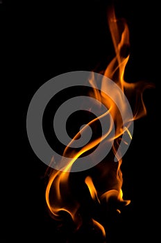 Fire flames on black background.