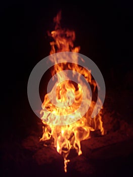 Fire flames on a black background