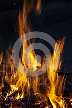 Fire, flames on a black background.