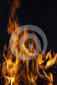 Fire, flames on a black background.