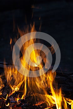 Fire, flames on a black background.