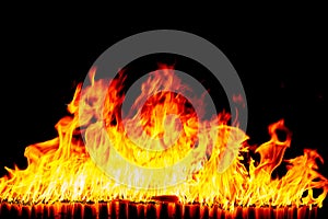 Fire flames on a black background