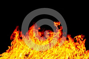 Fire flames on a black background