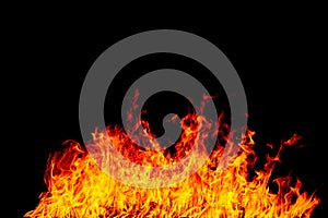 Fire flames on a black background