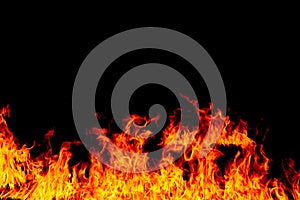 Fire flames on a black background