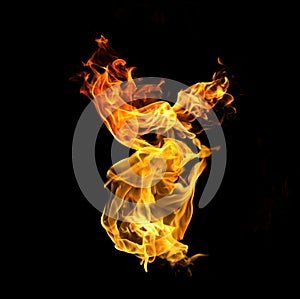 Fire flames on a black background abstract