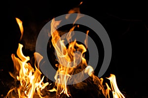 Fire flames on a black background. Abstract fiery texture. Realistic fire flames burn movement frame. Texture for Design. The