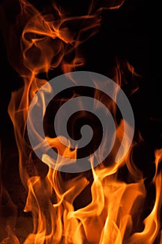 Fire flames on a black background. Blaze fire flame texture background