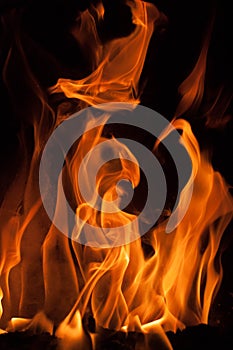 Fire flames on a black background. Blaze fire flame texture background