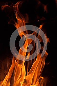 Fire flames on a black background. Blaze fire flame texture background