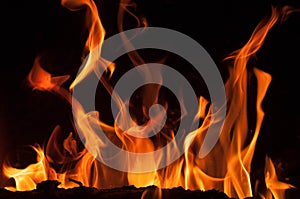 Fire flames on a black background. Blaze fire flame texture background. Close up of fire flames isolated on black background. Burn