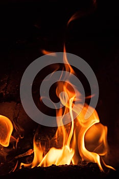 Fire flames on a black background. Blaze fire flame texture background. Close up of fire flames isolated on black background. Burn